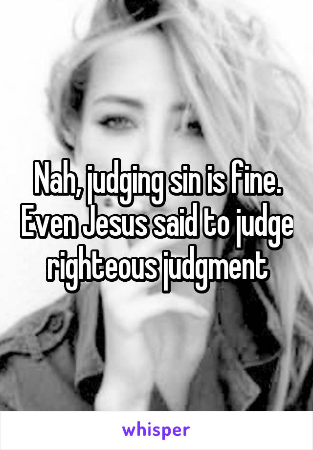 Nah, judging sin is fine. Even Jesus said to judge righteous judgment