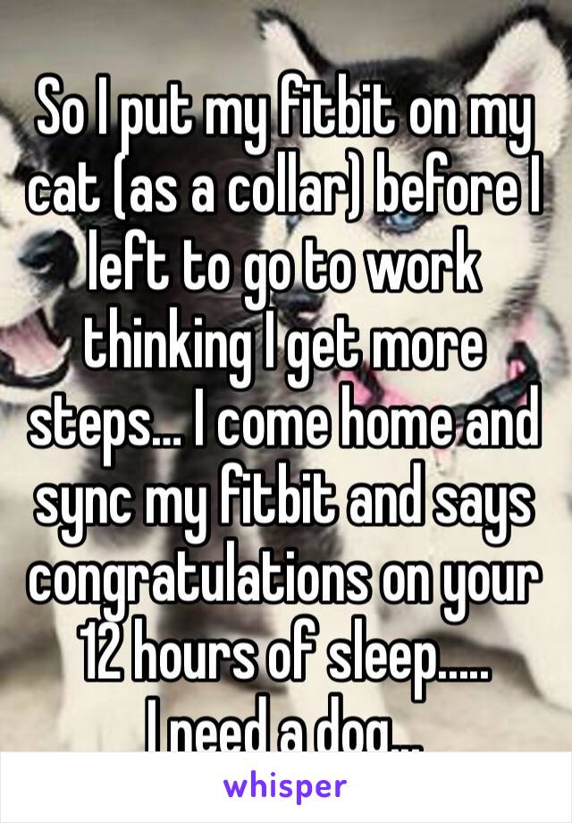 So I put my fitbit on my cat (as a collar) before I left to go to work thinking I get more steps… I come home and sync my fitbit and says congratulations on your 12 hours of sleep.....
I need a dog...