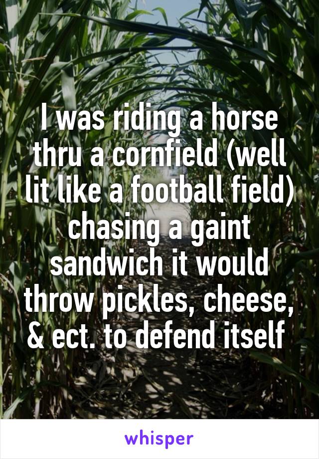 I was riding a horse thru a cornfield (well lit like a football field) chasing a gaint sandwich it would throw pickles, cheese, & ect. to defend itself 