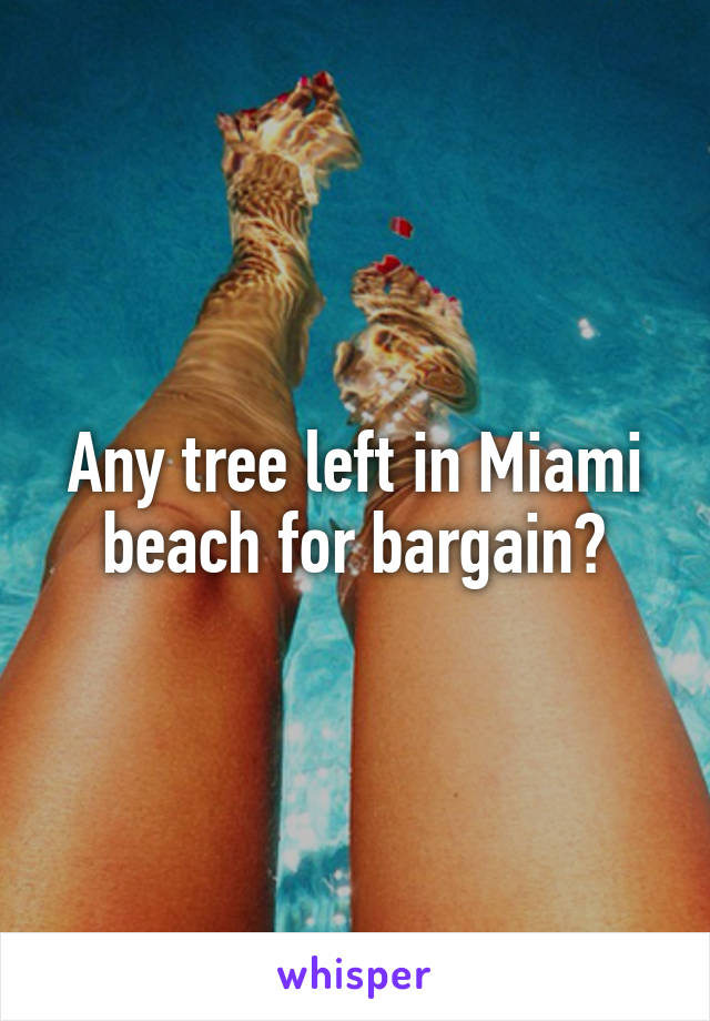 Any tree left in Miami beach for bargain?