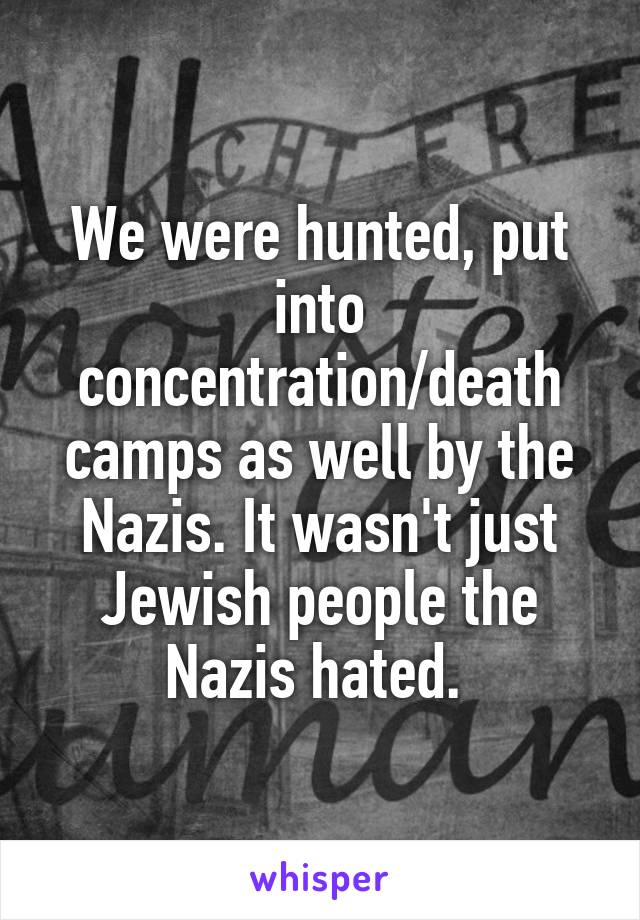 We were hunted, put into concentration/death camps as well by the Nazis. It wasn't just Jewish people the Nazis hated. 