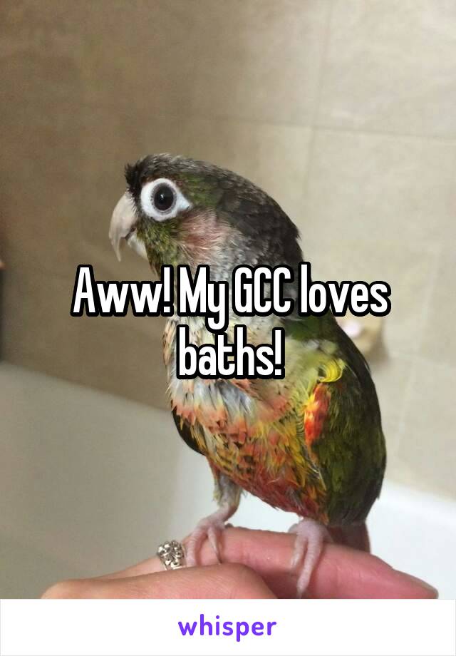 Aww! My GCC loves baths!