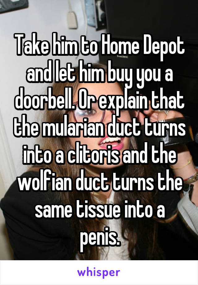 Take him to Home Depot and let him buy you a doorbell. Or explain that the mularian duct turns into a clitoris and the wolfian duct turns the same tissue into a penis.