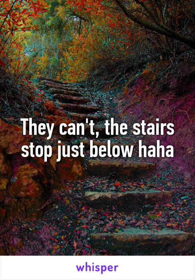 They can't, the stairs stop just below haha