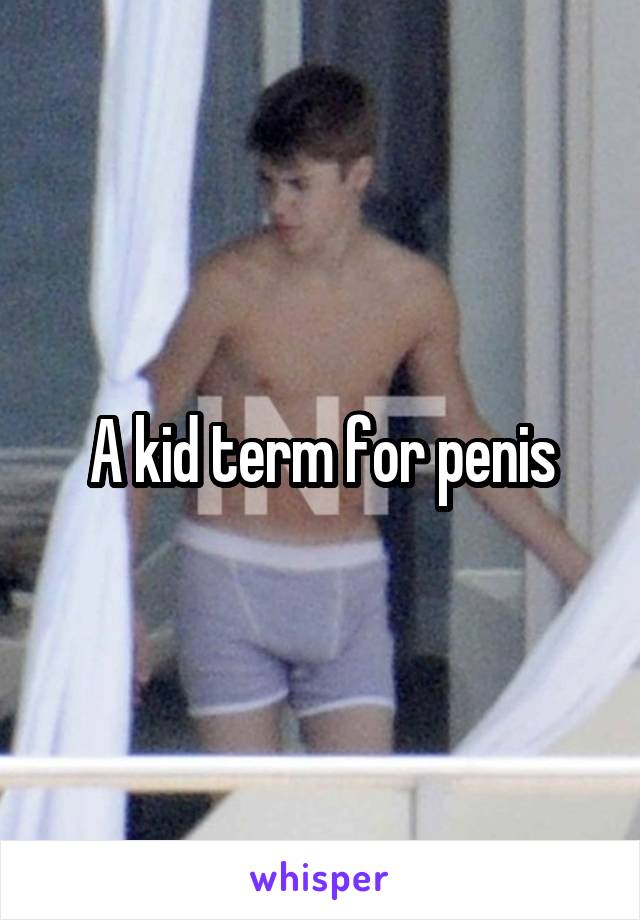 A kid term for penis