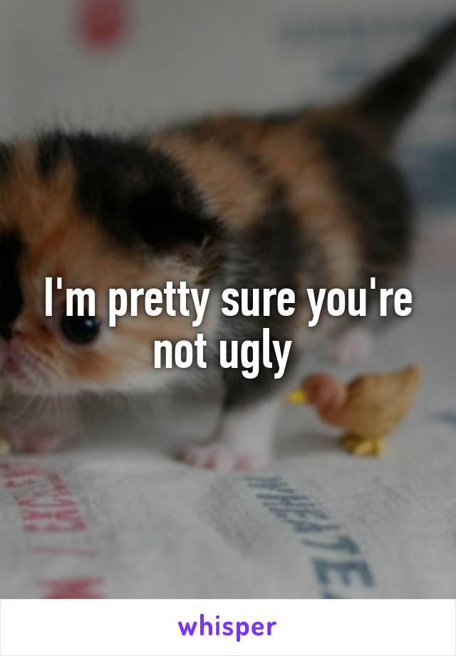 I'm pretty sure you're not ugly 