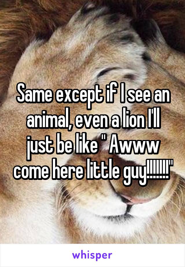 Same except if I see an animal, even a lion I'll just be like " Awww come here little guy!!!!!!!"
