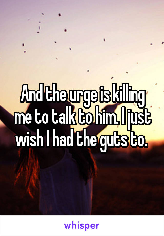 And the urge is killing me to talk to him. I just wish I had the guts to. 