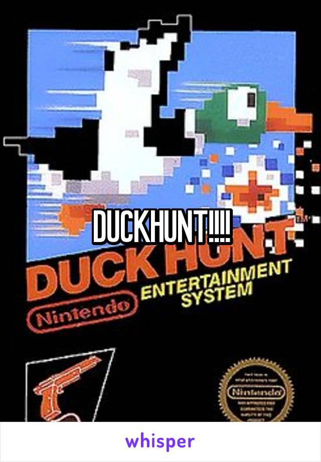 DUCKHUNT!!!!