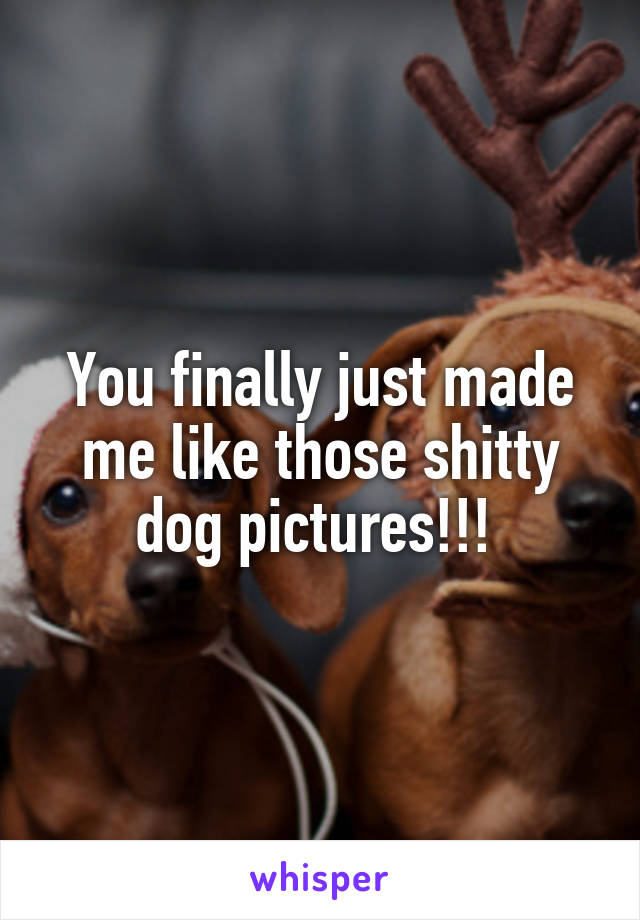 You finally just made me like those shitty dog pictures!!! 