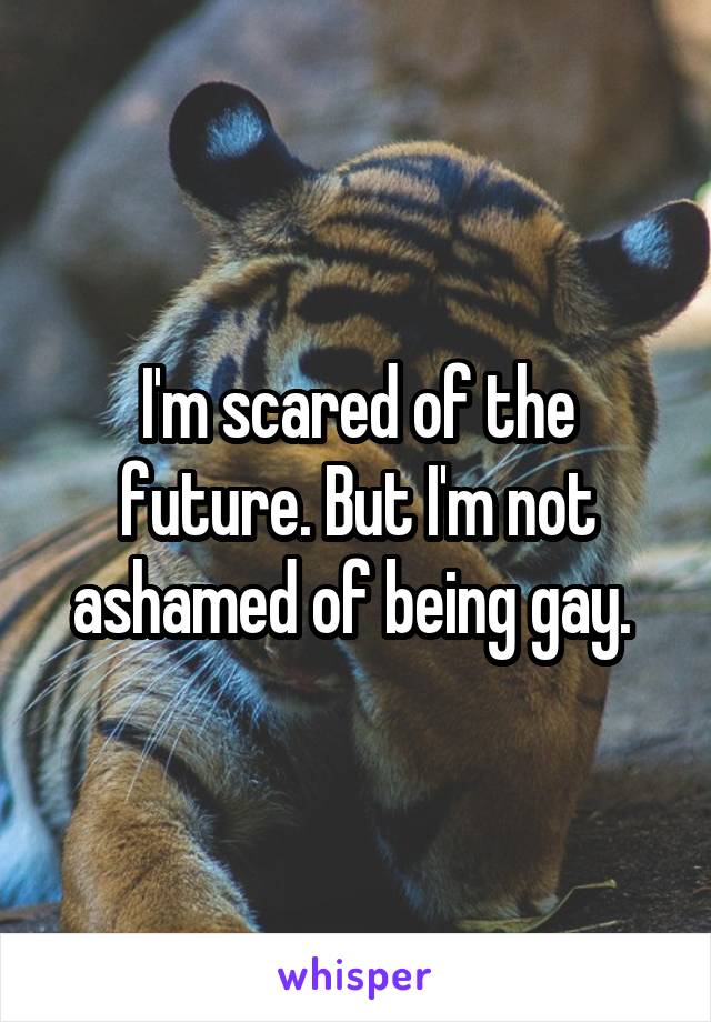 I'm scared of the future. But I'm not ashamed of being gay. 