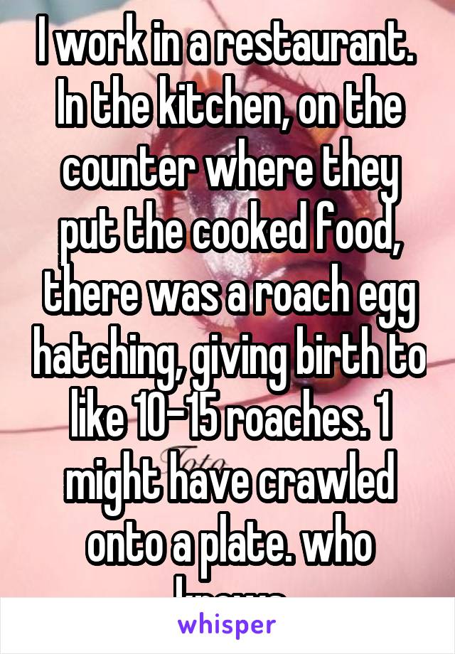 I work in a restaurant. 
In the kitchen, on the counter where they put the cooked food, there was a roach egg hatching, giving birth to like 10-15 roaches. 1 might have crawled onto a plate. who knows