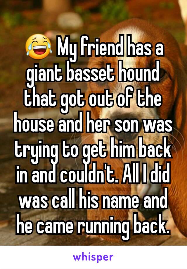 😂 My friend has a giant basset hound that got out of the house and her son was trying to get him back in and couldn't. All I did was call his name and he came running back.