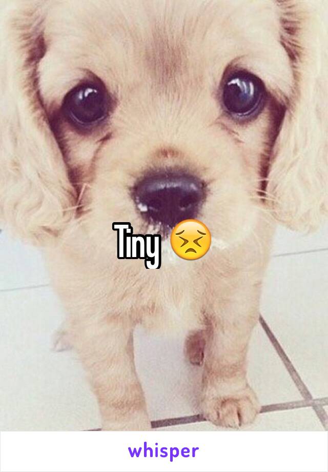 Tiny 😣