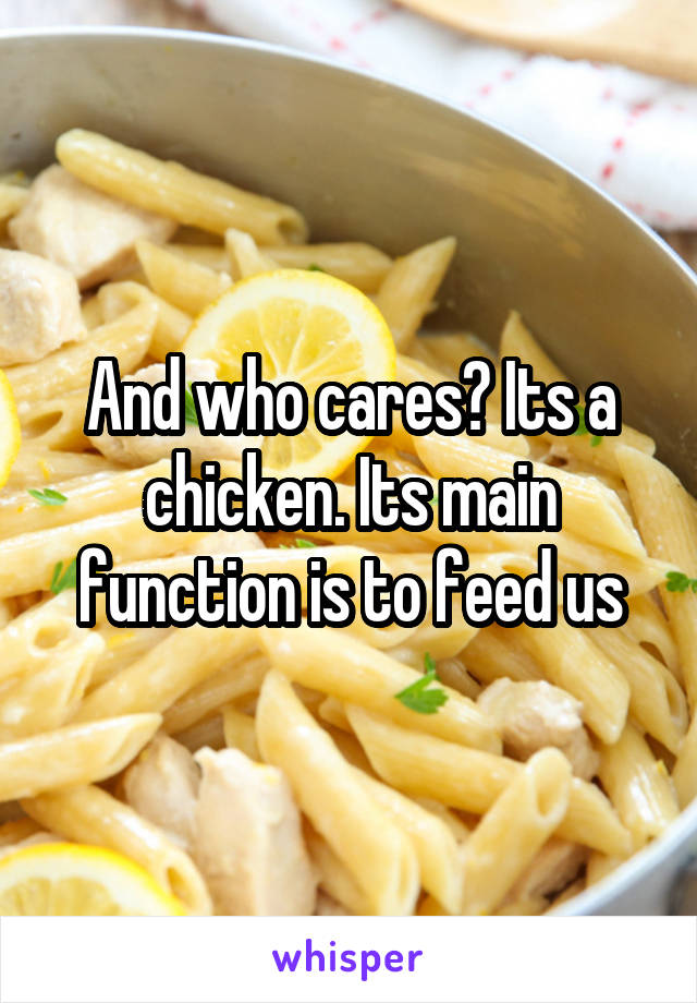 And who cares? Its a chicken. Its main function is to feed us