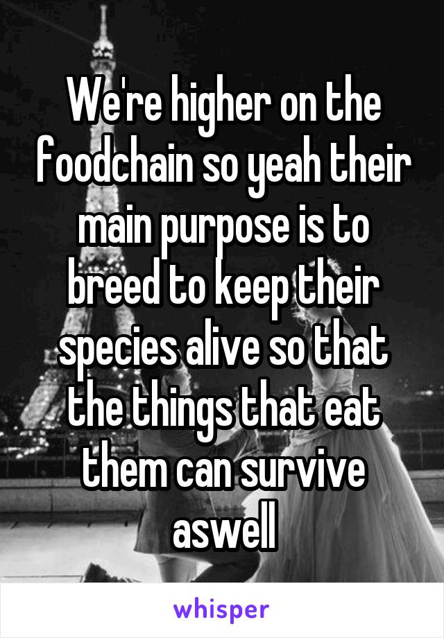 We're higher on the foodchain so yeah their main purpose is to breed to keep their species alive so that the things that eat them can survive aswell