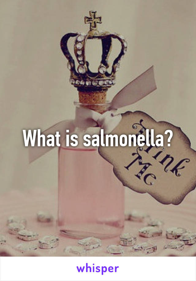 What is salmonella?