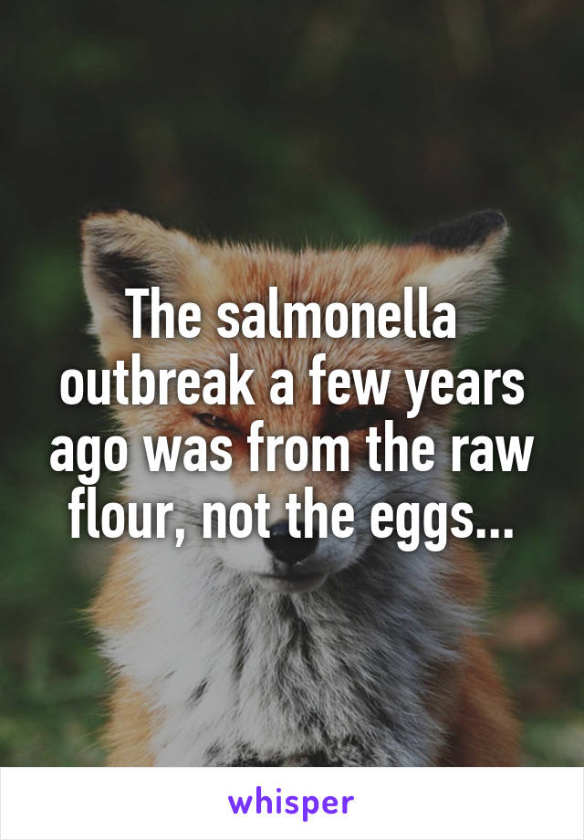 The salmonella outbreak a few years ago was from the raw flour, not the eggs...