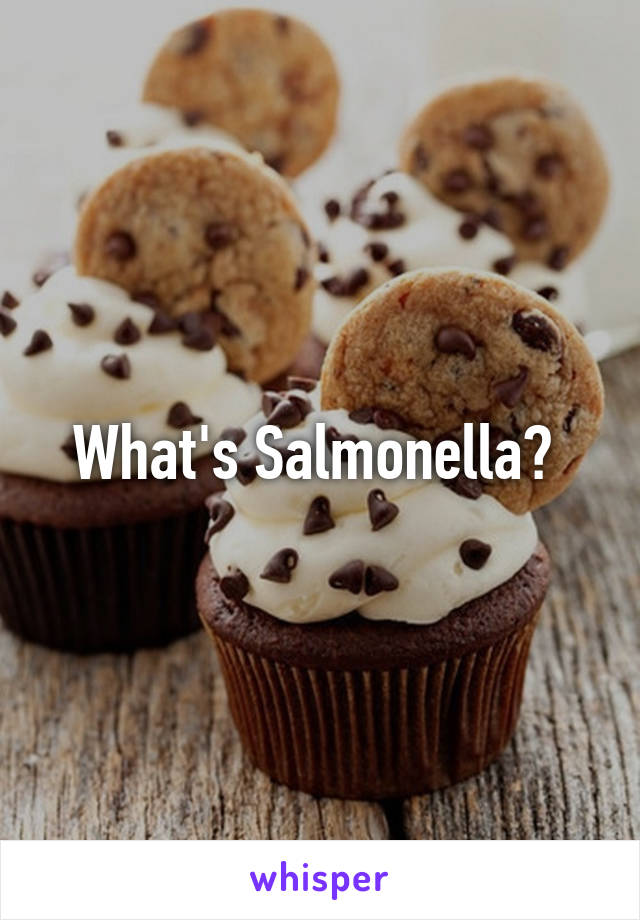 What's Salmonella? 