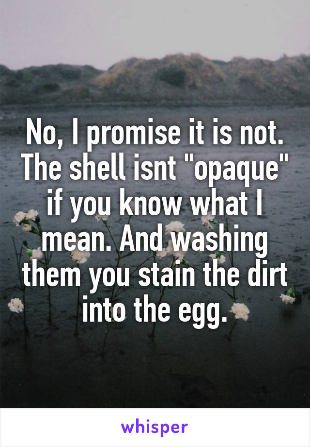 No, I promise it is not. The shell isnt "opaque" if you know what I mean. And washing them you stain the dirt into the egg.