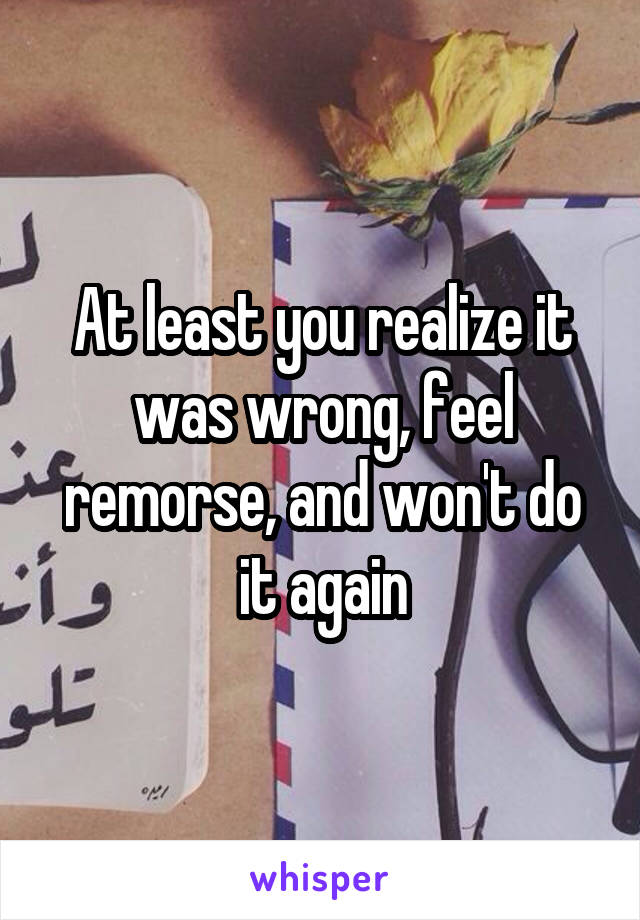 At least you realize it was wrong, feel remorse, and won't do it again