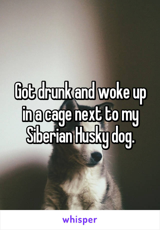 Got drunk and woke up in a cage next to my Siberian Husky dog.
