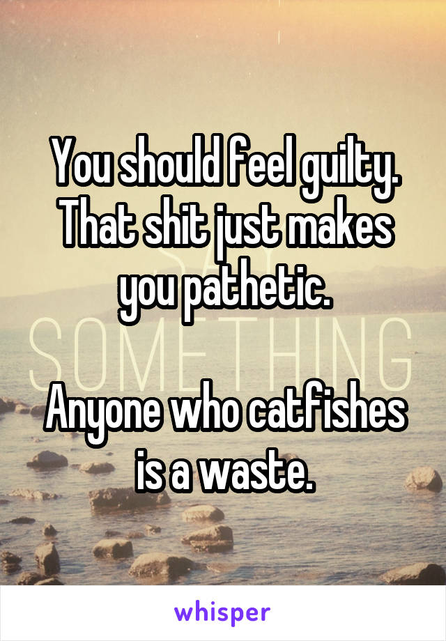 You should feel guilty.
That shit just makes you pathetic.

Anyone who catfishes is a waste.