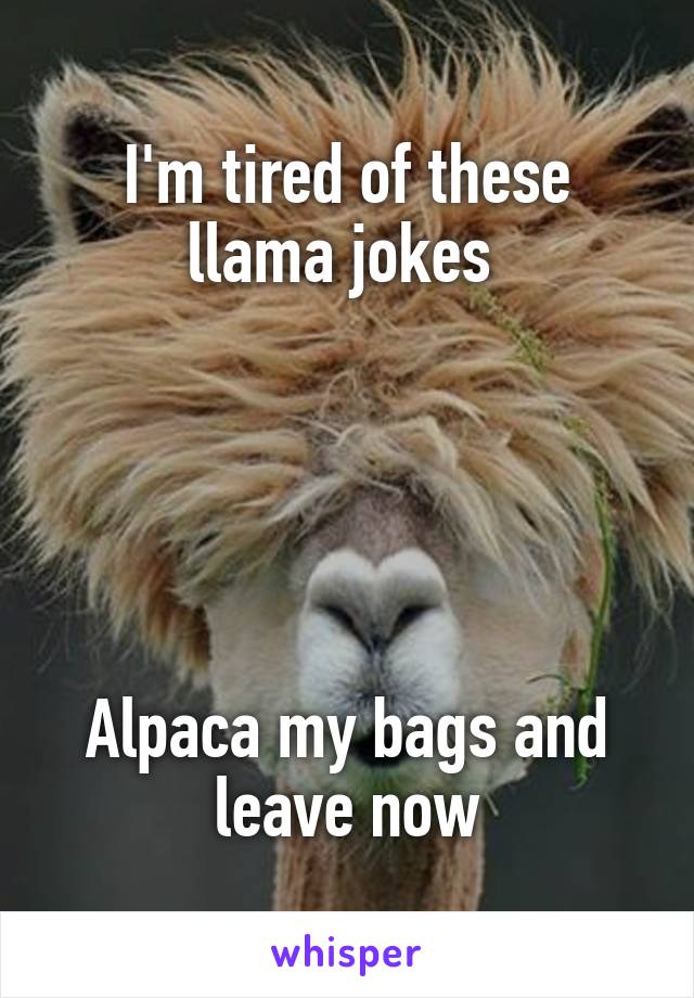 I'm tired of these llama jokes 





Alpaca my bags and leave now