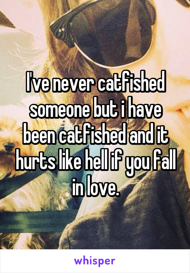 I've never catfished someone but i have been catfished and it hurts like hell if you fall in love.