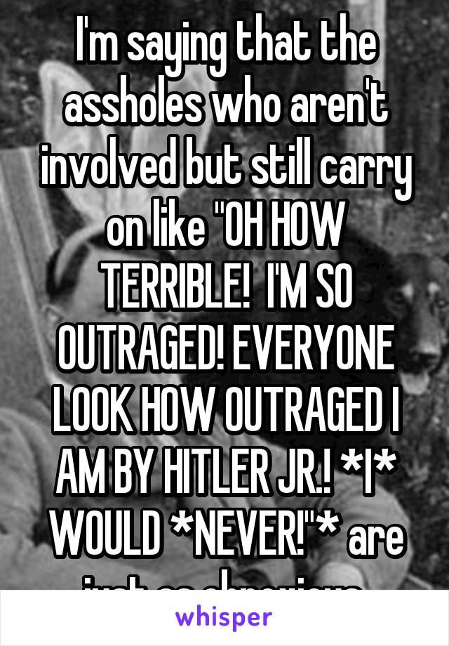 I'm saying that the assholes who aren't involved but still carry on like "OH HOW TERRIBLE!  I'M SO OUTRAGED! EVERYONE LOOK HOW OUTRAGED I AM BY HITLER JR.! *I* WOULD *NEVER!"* are just as obnoxious.