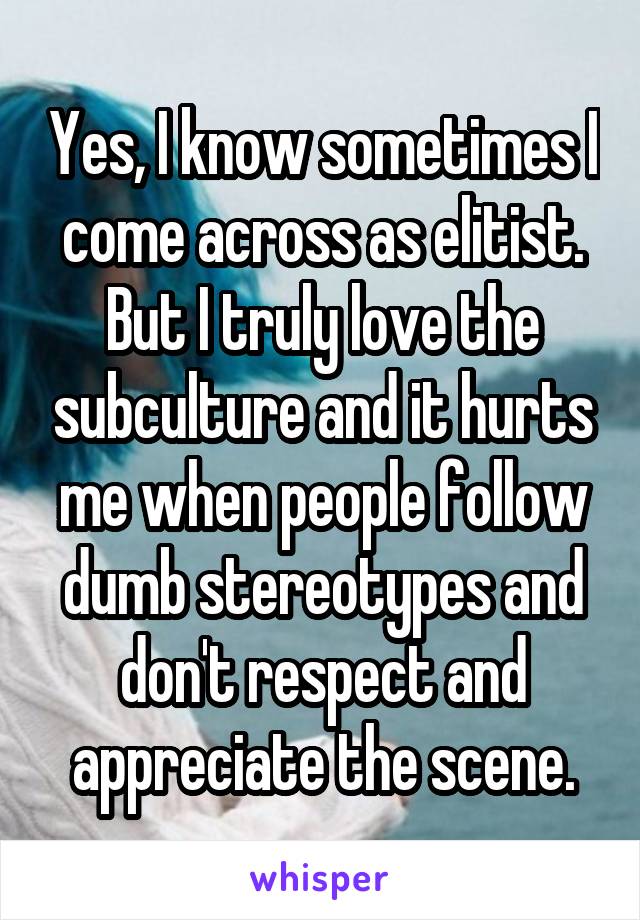 Yes, I know sometimes I come across as elitist. But I truly love the subculture and it hurts me when people follow dumb stereotypes and don't respect and appreciate the scene.