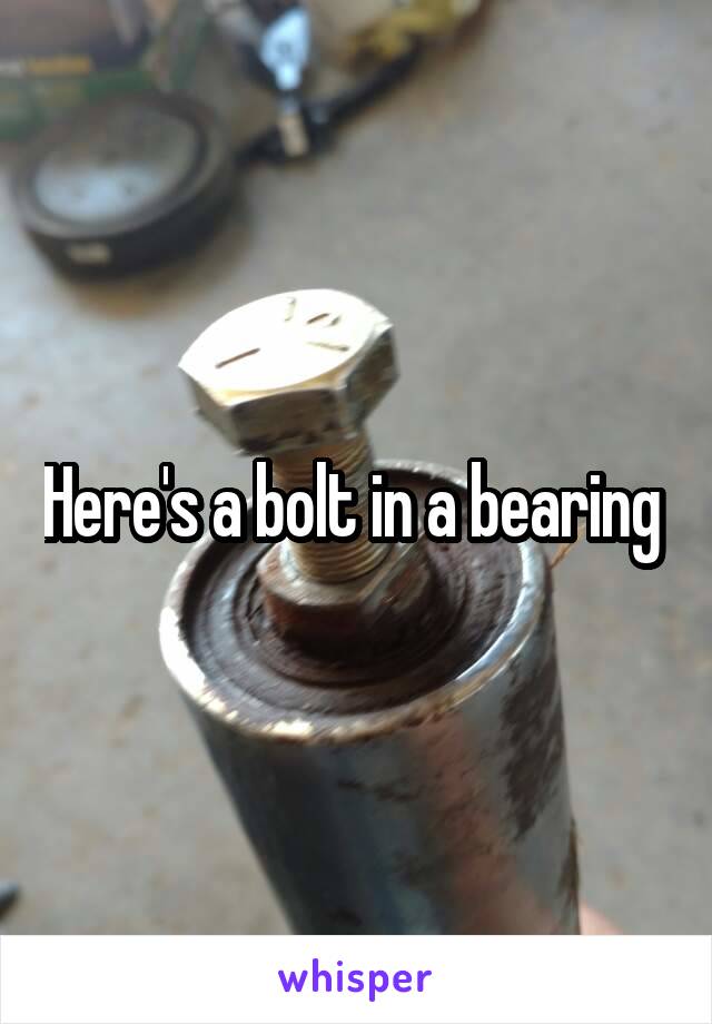 Here's a bolt in a bearing 