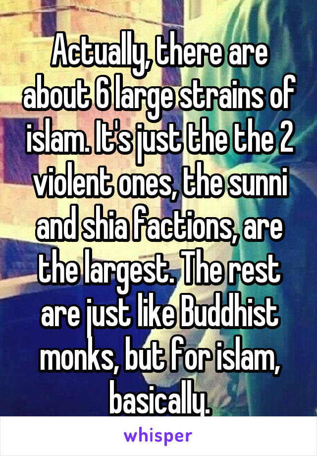 Actually, there are about 6 large strains of islam. It's just the the 2 violent ones, the sunni and shia factions, are the largest. The rest are just like Buddhist monks, but for islam, basically.