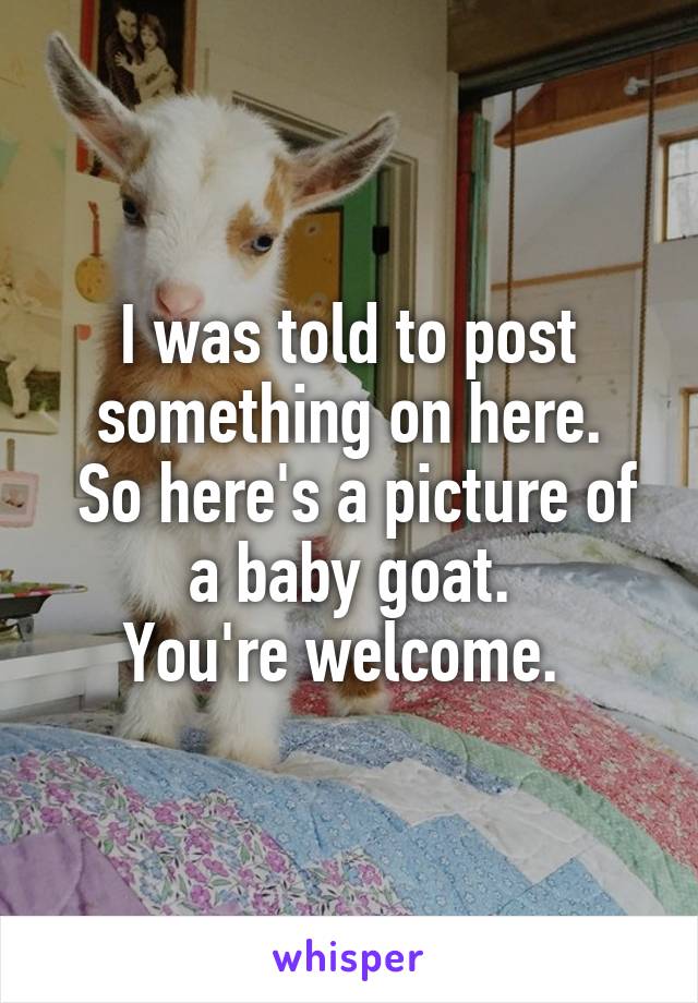 I was told to post something on here.
 So here's a picture of a baby goat.
You're welcome. 