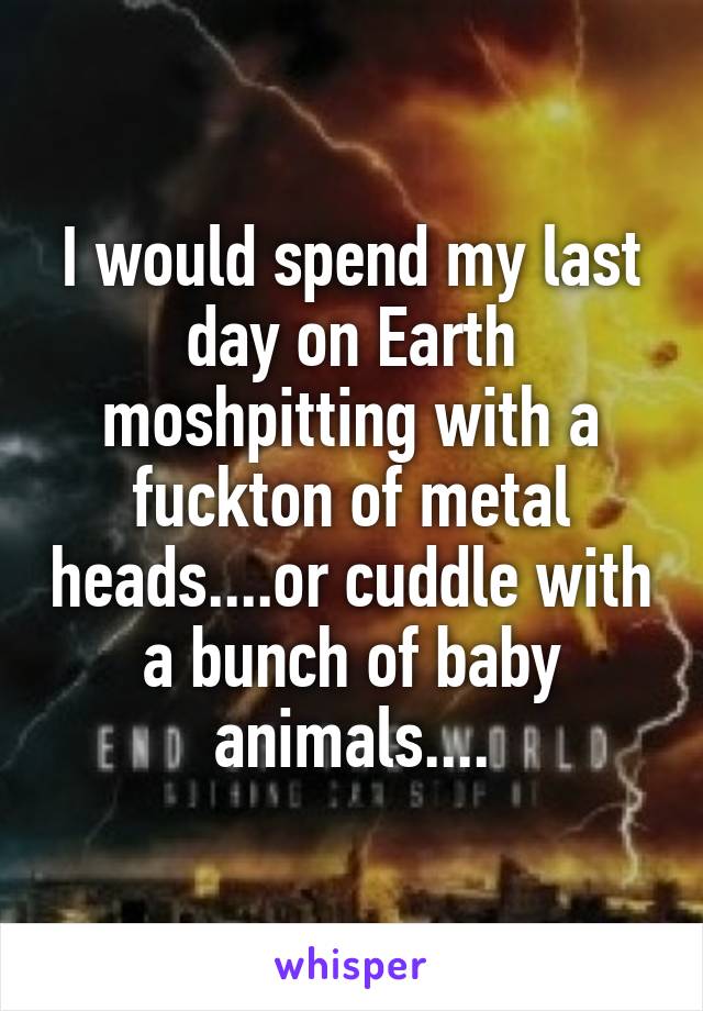 I would spend my last day on Earth moshpitting with a fuckton of metal heads....or cuddle with a bunch of baby animals....