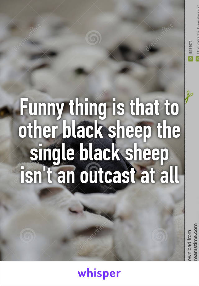 Funny thing is that to other black sheep the single black sheep isn't an outcast at all
