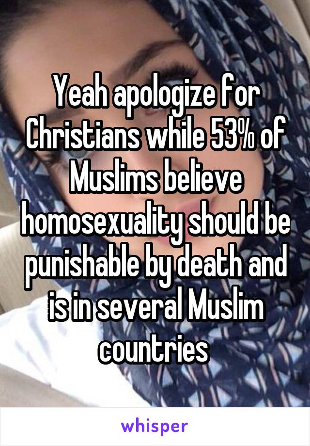Yeah apologize for Christians while 53% of Muslims believe homosexuality should be punishable by death and is in several Muslim countries 