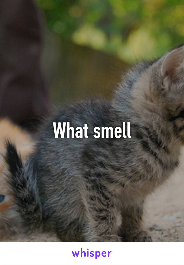 What smell