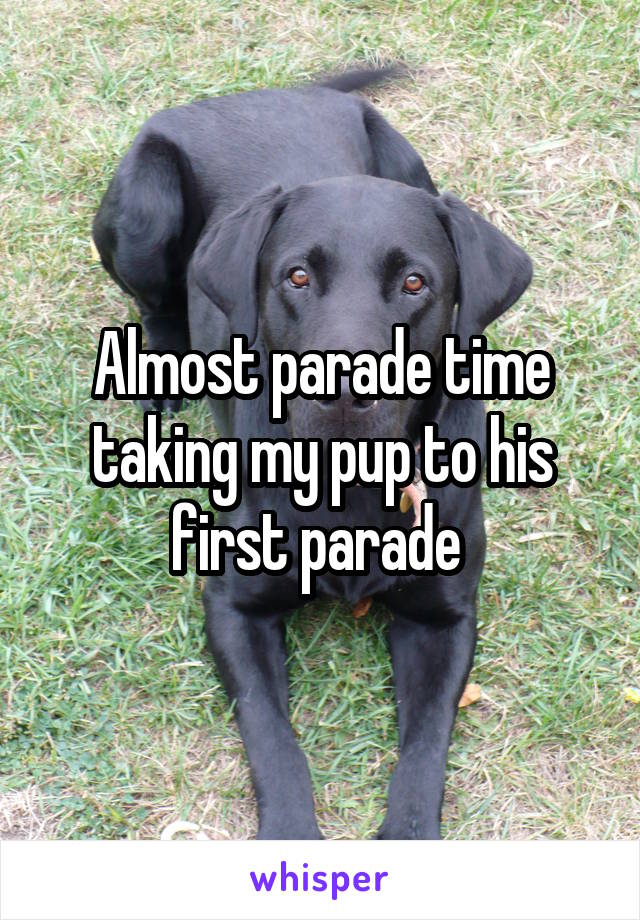 Almost parade time taking my pup to his first parade 