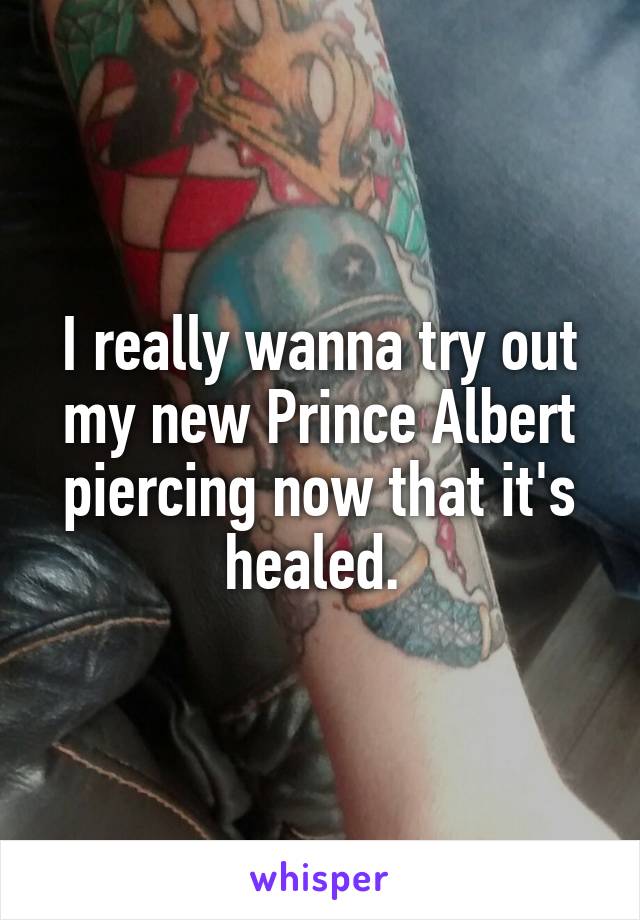 I really wanna try out my new Prince Albert piercing now that it's healed. 