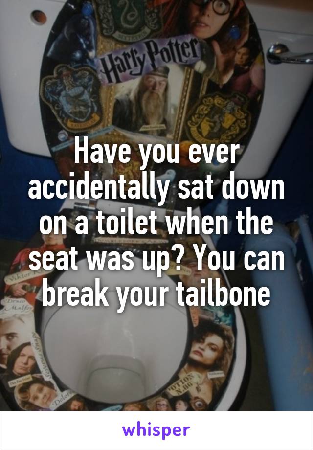 Have you ever accidentally sat down on a toilet when the seat was up? You can break your tailbone