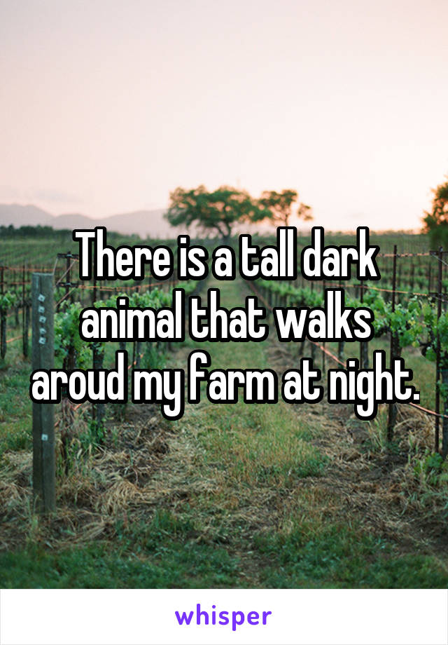 There is a tall dark animal that walks aroud my farm at night.