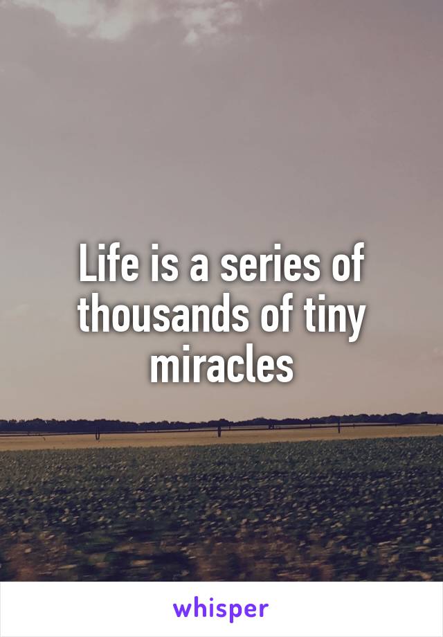 Life is a series of thousands of tiny miracles