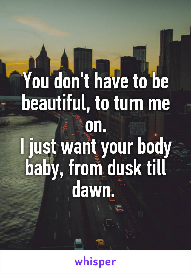 You don't have to be beautiful, to turn me on.
I just want your body baby, from dusk till dawn. 