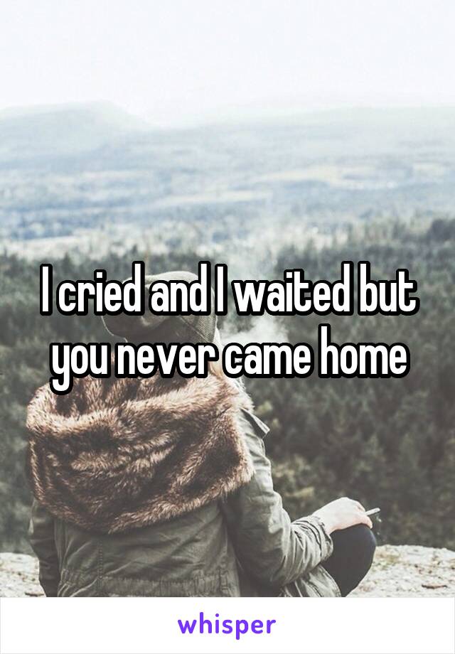 I cried and I waited but you never came home
