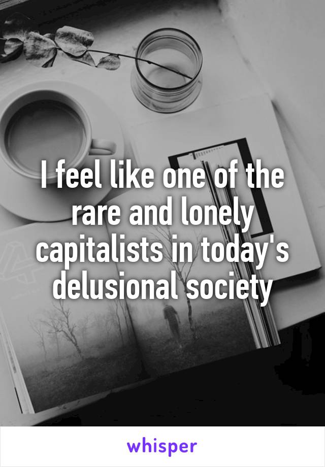 I feel like one of the rare and lonely capitalists in today's delusional society