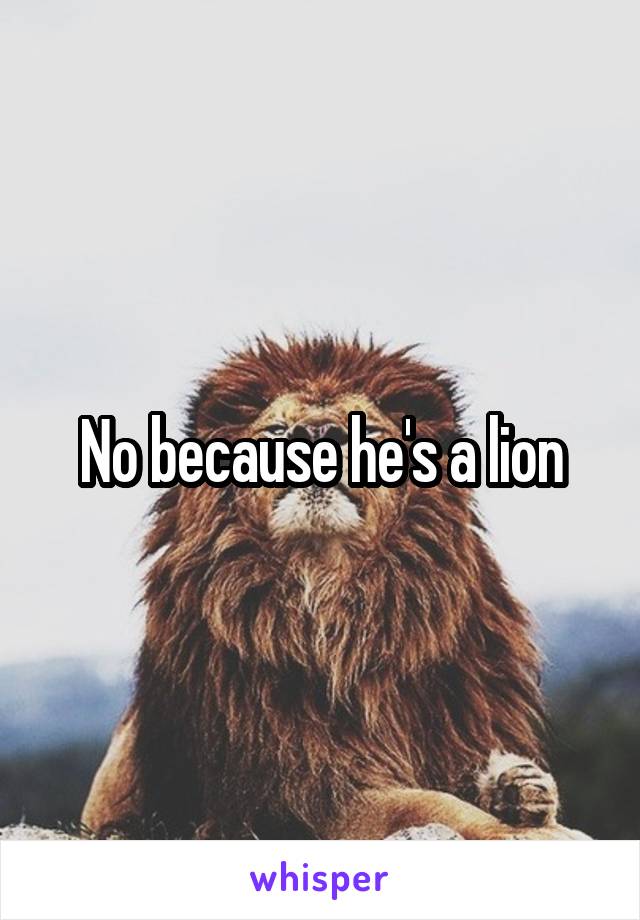 No because he's a lion