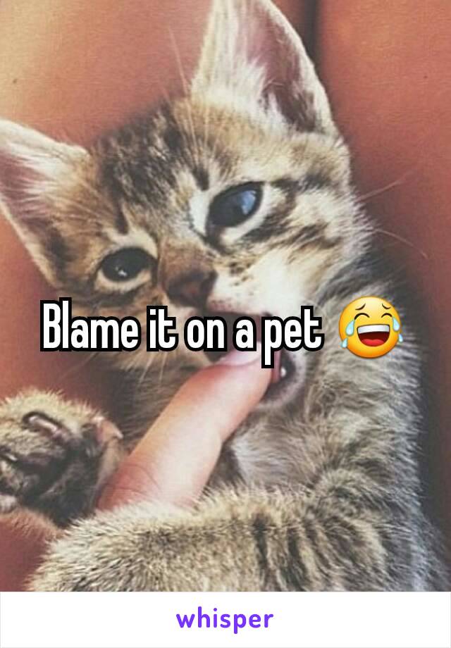 Blame it on a pet 😂