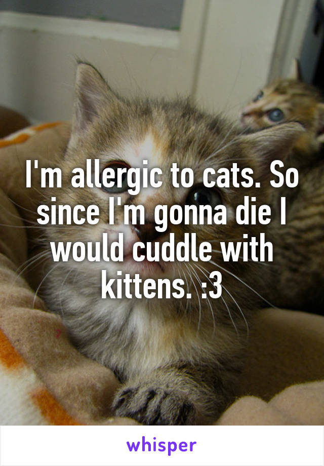 I'm allergic to cats. So since I'm gonna die I would cuddle with kittens. :3