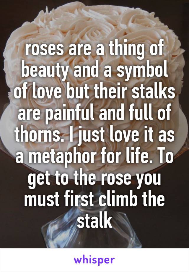 roses are a thing of beauty and a symbol of love but their stalks are painful and full of thorns. I just love it as a metaphor for life. To get to the rose you must first climb the stalk